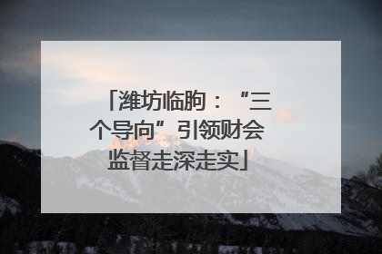 潍坊临朐：“三个导向”引领财会监督走深走实